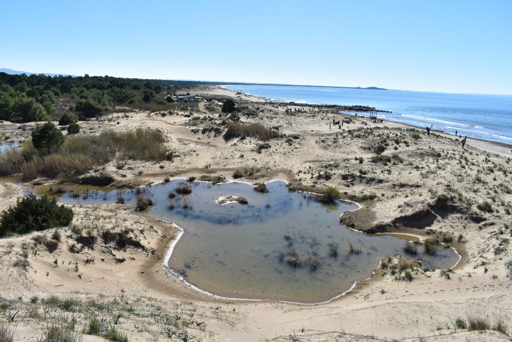 Αχαΐα: Μηνυτήρια αναφορά στην Εισαγγελία Πατρών, από ΟΙΚΙΠΑ, για την Καλογριά ΦΩΤΟ