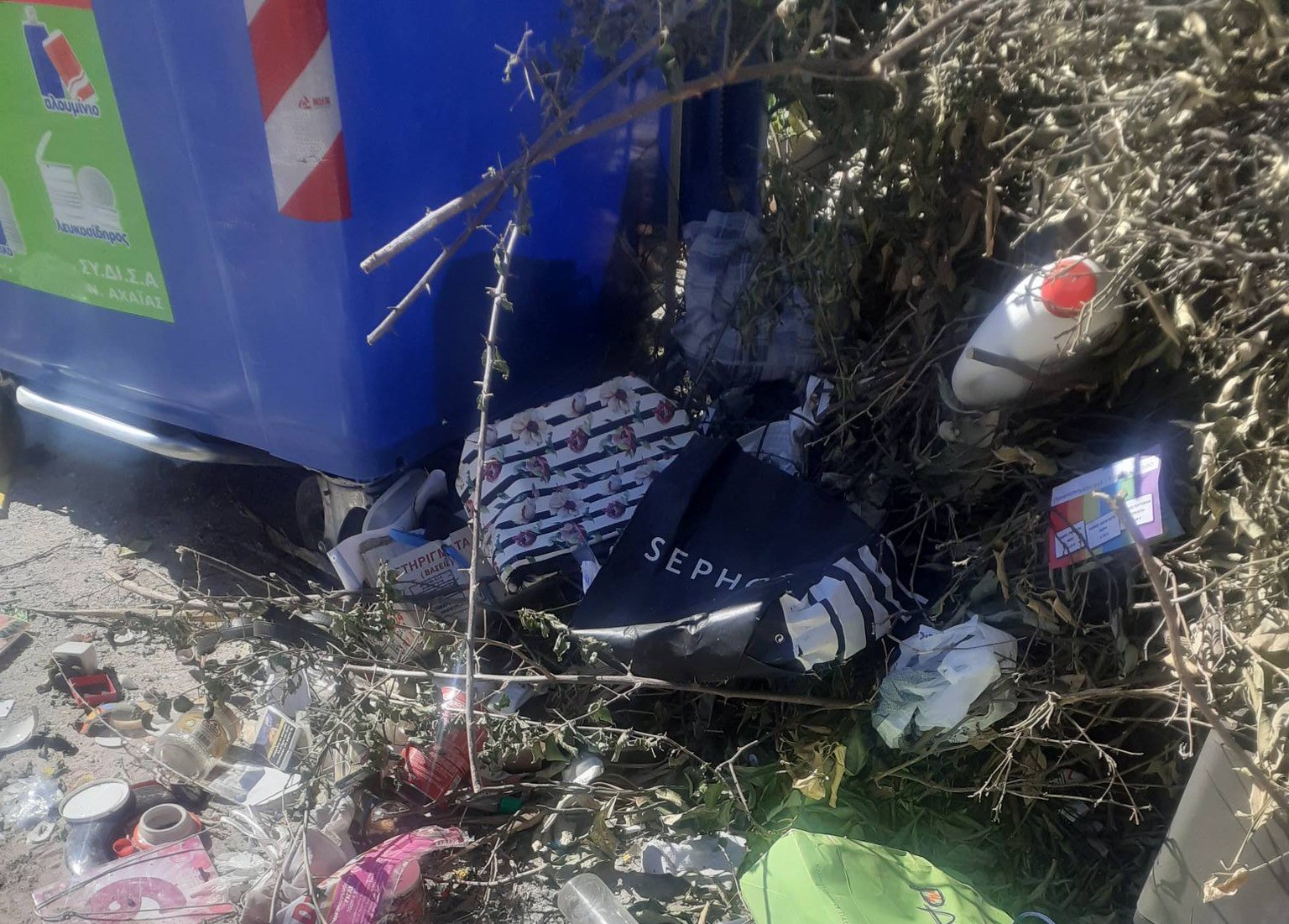 Συχαινά Πάτρας: Κάηκαν κάδοι κι έβαλαν νέους...μέσα στις στάχτες - Αρουραίοι πιο δίπλα ΦΩΤΟ 4 Συχαινά Πάτρας: Κάηκαν κάδοι κι έβαλαν νέους...μέσα στις στάχτες - Αρουραίοι πιο δίπλα ΦΩΤΟ