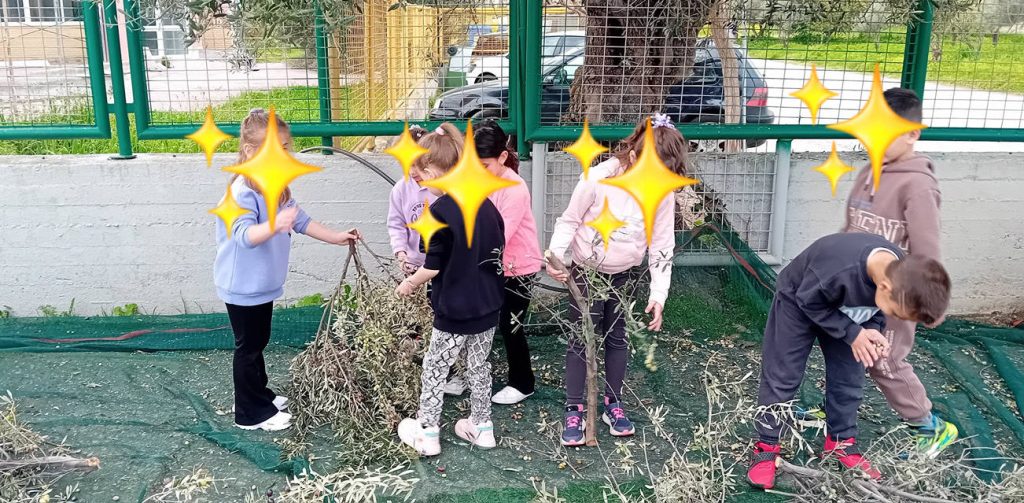 Οι μαθητές στο 1ο Δημοτικό Σχολείο Ακράτας μάζεψαν ελιές ΦΩΤΟ 29 Οι μαθητές στο 1ο Δημοτικό Σχολείο Ακράτας μάζεψαν ελιές ΦΩΤΟ