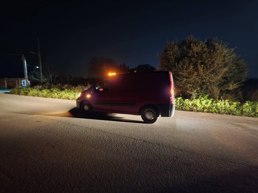 Αχαΐα: Στήθηκε «επιχείρηση» για χτυπημένο σκυλάκι μετά από εγκατάλειψη ΦΩΤΟ