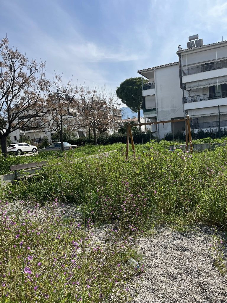 Παραλία Πατρών: Παιδική χαρά για να....βοσκούν πρόβατα! ΦΩΤΟ