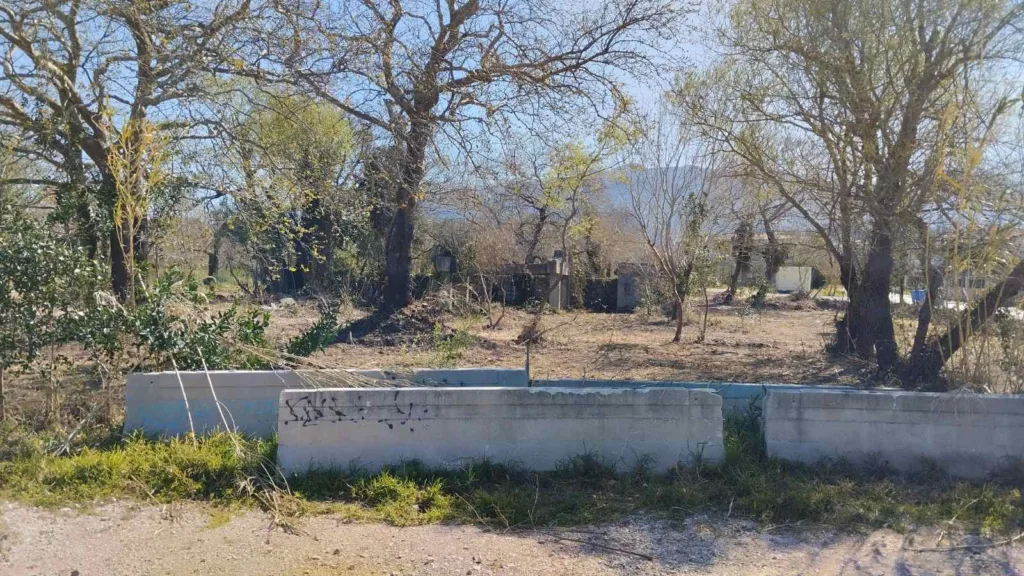 Πάτρα: Το Πλατανόδασος αποκτά ξανά φροντίδα από Δήμο και «Δράση» ΦΩΤΟ