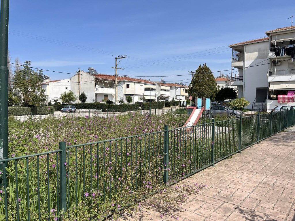 Παραλία Πατρών: Παιδική χαρά για να....βοσκούν πρόβατα! ΦΩΤΟ