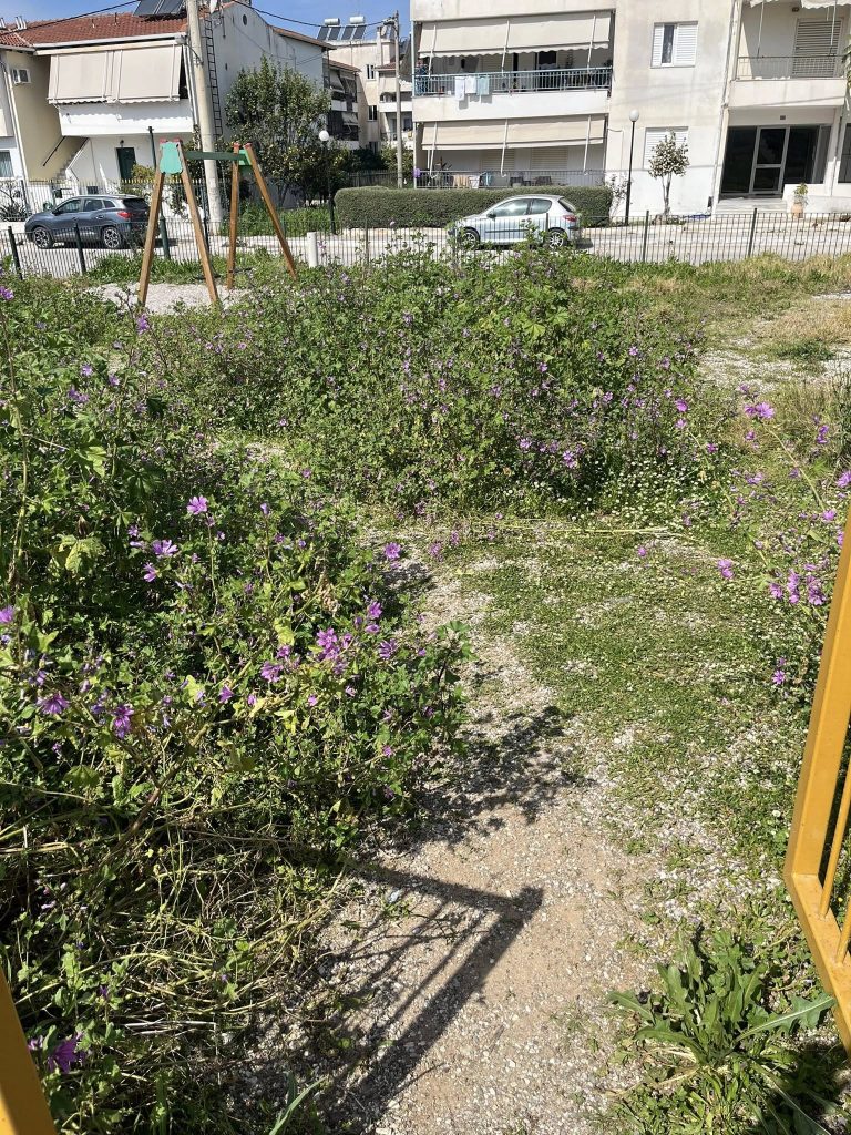 Παραλία Πατρών: Παιδική χαρά για να....βοσκούν πρόβατα! ΦΩΤΟ