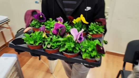 Με λουλούδια για την Ημέρα της Γυναίκας ο Σύλλογος Φίλων Μουσικής Αιγιάλειας ΦΩΤΟ