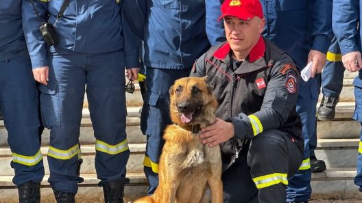 Αίγιο: Σεισμός με εγκλωβισμένους, κατάρρευση κτιρίου, πυρκαγιά σε άσκηση της Πυροσβεστικής ΦΩΤΟ