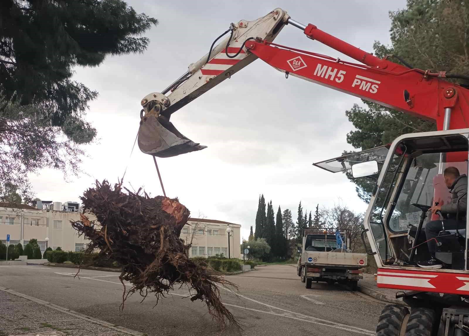 Πάτρα: Εργασίες καθαριότητας και πρασίνου στις Πανεπιστημιουπόλεις  ΦΩΤΟ