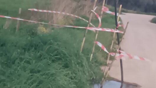 Δυτική Αχαΐα: Σπατάλη νερού, κίνδυνος ατυχήματος και σκπουπίδια σε κενρτικό δρόμο ΦΩΤΟ