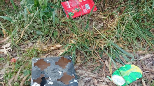 Πάτρα: Αποφάγια...μέχρι και πεταμένα μπάζα οικοδομών στο Νότιο Πάρκο ΦΩΤΟ