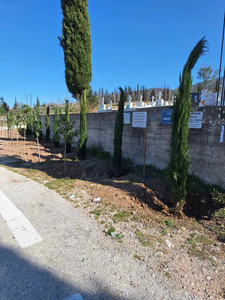 Σούλι Πατρών: Τάξη και αναβάθμιση στο Νεκροταφείο ΦΩΤΟ 32 Σούλι Πατρών: Τάξη και αναβάθμιση στο Νεκροταφείο ΦΩΤΟ