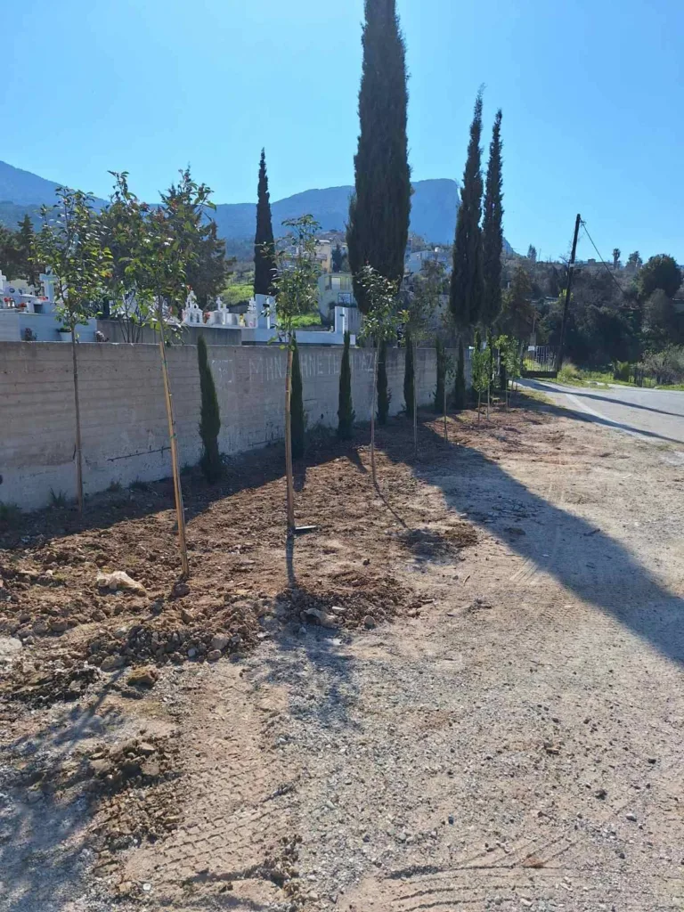 Σούλι Πατρών: Τάξη και αναβάθμιση στο Νεκροταφείο ΦΩΤΟ 31 Σούλι Πατρών: Τάξη και αναβάθμιση στο Νεκροταφείο ΦΩΤΟ