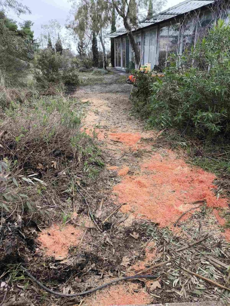 Πάτρα: Εργασίες καθαριότητας και πρασίνου στις Πανεπιστημιουπόλεις ΦΩΤΟ 32 Πάτρα: Εργασίες καθαριότητας και πρασίνου στις Πανεπιστημιουπόλεις ΦΩΤΟ