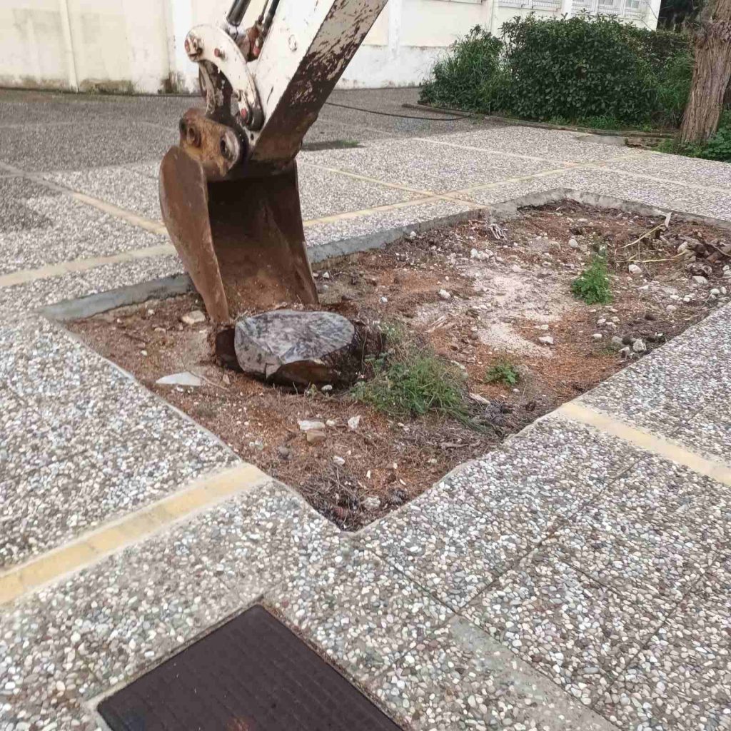 Πάτρα: Εργασίες καθαριότητας και πρασίνου στις Πανεπιστημιουπόλεις ΦΩΤΟ 30 Πάτρα: Εργασίες καθαριότητας και πρασίνου στις Πανεπιστημιουπόλεις ΦΩΤΟ