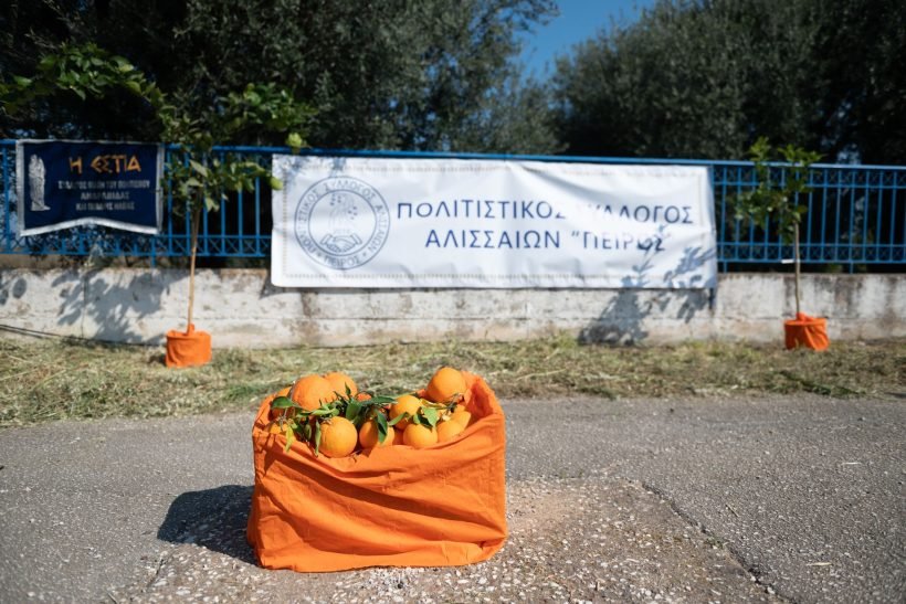Η Γιορτή Πορτοκαλιού στον Κάτω Αλισσό ΦΩΤΟ