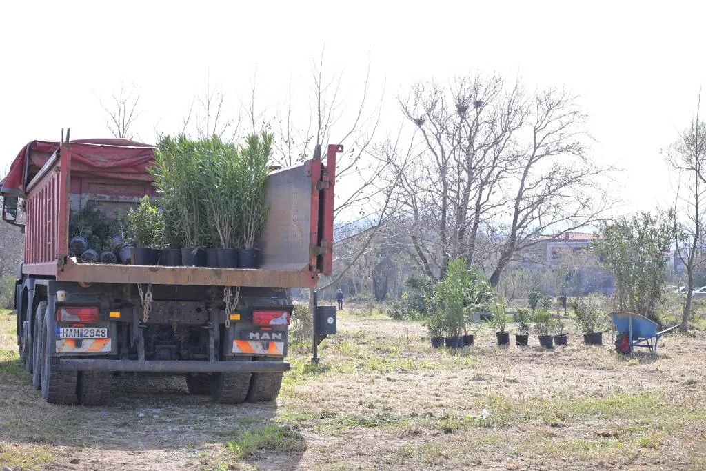 Πάτρα: Το Πλατανόδασος αποκτά ξανά φροντίδα από Δήμο και «Δράση» ΦΩΤΟ