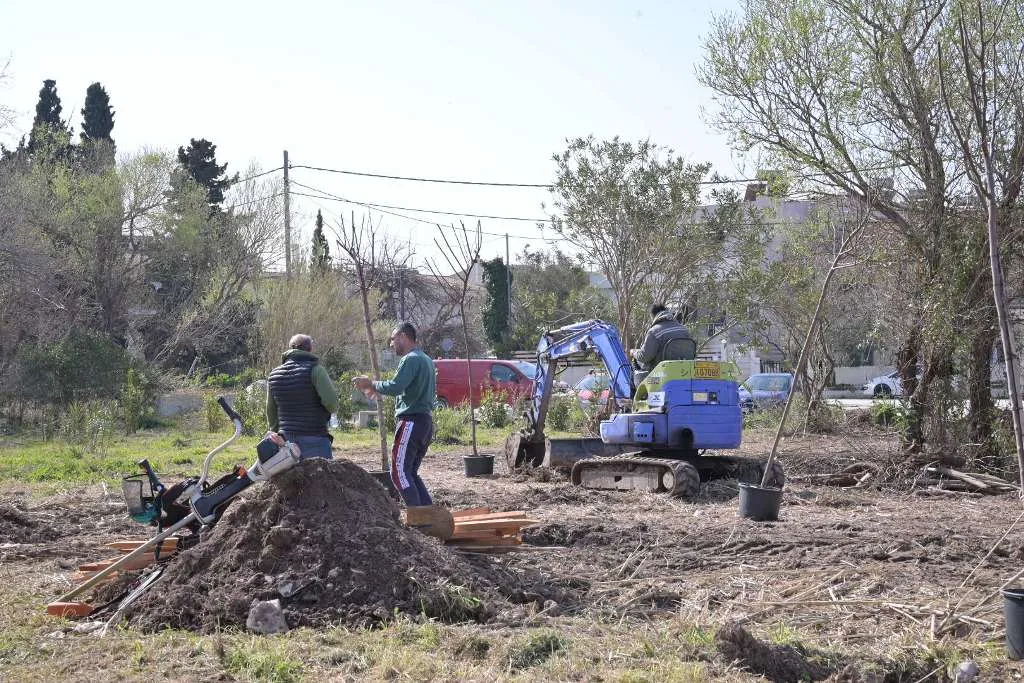Πάτρα: Το Πλατανόδασος αποκτά ξανά φροντίδα από Δήμο και «Δράση» ΦΩΤΟ