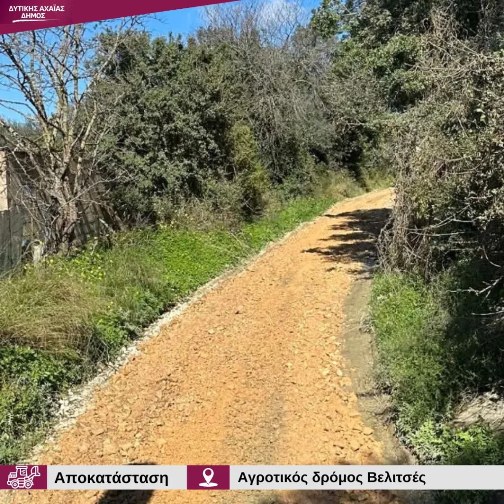 Δυτική Αχαΐα: «Κόπηκε» δρόμος από τις συνεχείς βροχές ΦΩΤΟ 30 Δυτική Αχαΐα: «Κόπηκε» δρόμος από τις συνεχείς βροχές ΦΩΤΟ
