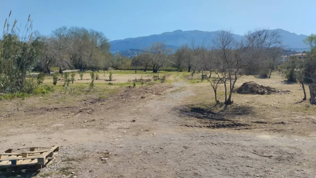 Πάτρα: Το Πλατανόδασος αποκτά ξανά φροντίδα από Δήμο και «Δράση» ΦΩΤΟ