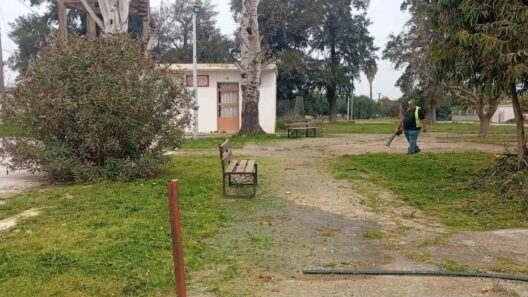 Δυτική Αχαΐα: Καθαρισμοί σε κοινόχρηστους χώρους...παντού από τον Δήμο ΦΩΤΟ