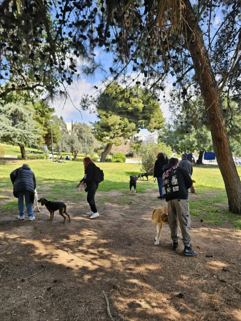 Δήμος Αιγιαλείας και Φιλοζωικός «Τα Φιλαράκια» στο Πάρκο Ελευθερίας ΦΩΤΟ