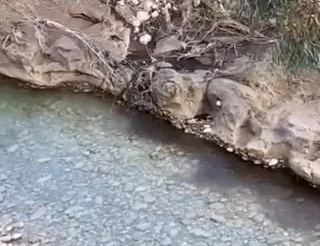 Αίγιο: Μόλυνση του ποταμού Σελινούντα - «Η ΠΕΣ υπαίτια» λέει ο Περιβαλλοντικός Σύλλογος ΒΙΝΤΕΟ-ΦΩΤΟ