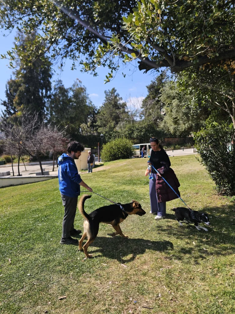 Δήμος Αιγιαλείας και Φιλοζωικός «Τα Φιλαράκια» στο Πάρκο Ελευθερίας ΦΩΤΟ