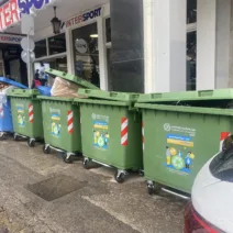 Πάτρα: «Σκουπιδίλα και κατσαρίδα» σε παράνομους κάδους απορριμμάτων ΦΩΤΟ