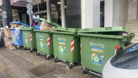 Πάτρα: «Σκουπιδίλα και κατσαρίδα» σε παράνομους κάδους απορριμμάτων ΦΩΤΟ