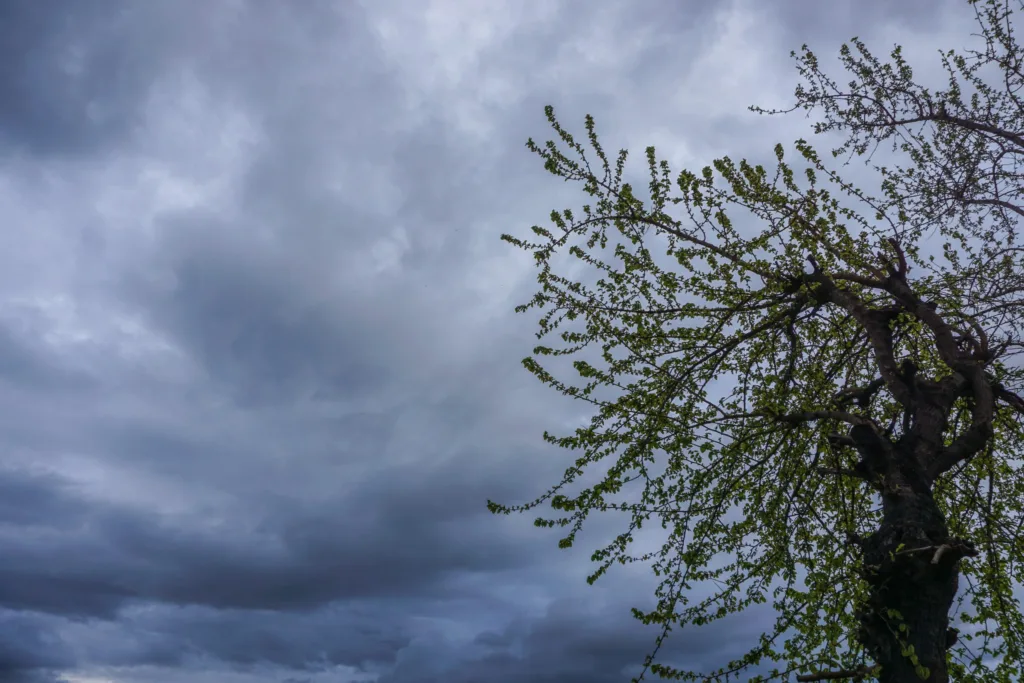 Αχαΐα: Νεφελώδης, σήμερα, ο καιρός πριν την κακοκαιρία Erminio