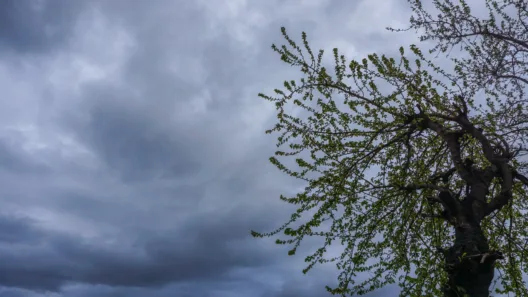 Αχαΐα: Νεφελώδης, σήμερα, ο καιρός πριν την κακοκαιρία Erminio