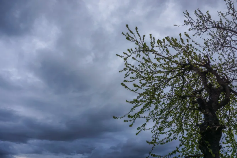 Αχαΐα: Νεφελώδης, σήμερα, ο καιρός πριν την κακοκαιρία Erminio