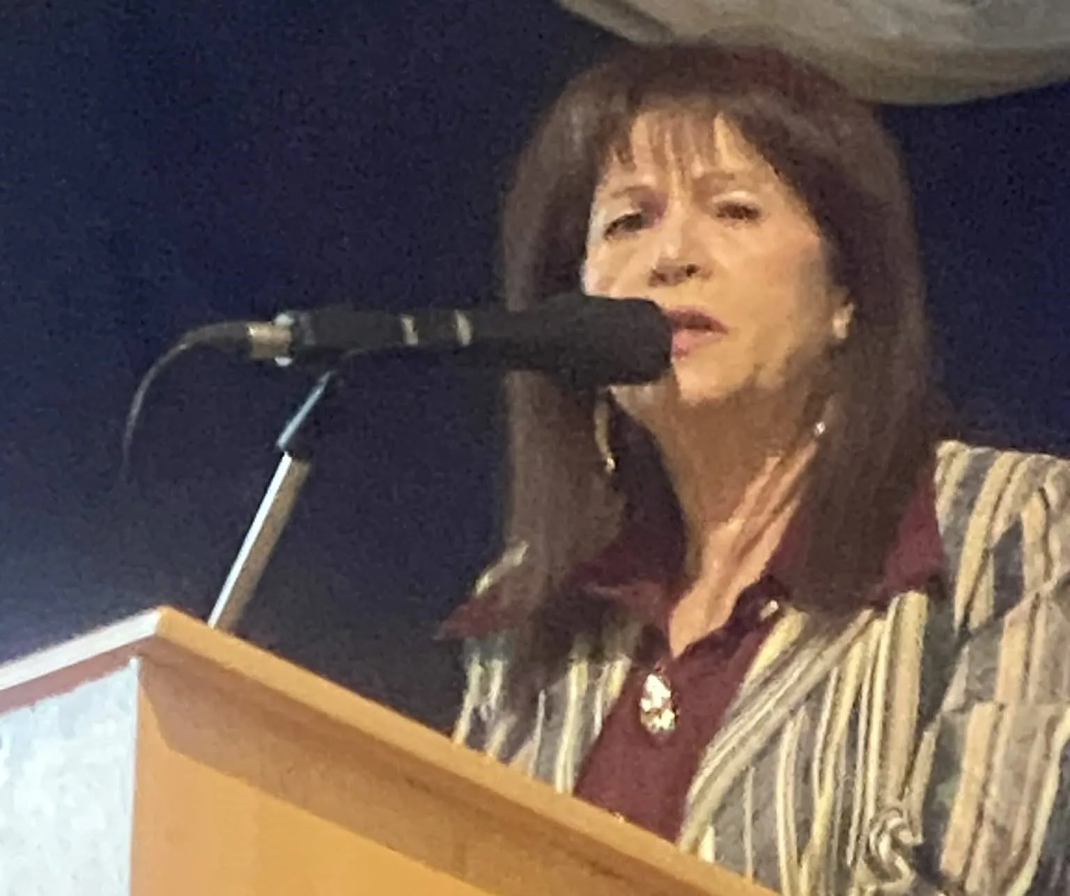 Στις «Αρχαίες Ρύπες» η αρχαιολόγος Ντόρα Κατσωνοπούλου στην αποικία του Κρότωνα ΦΩΤΟ