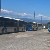 Πάτρα: Πολλά παράπονα για τα λεωφορεία σε συνοικίες - Κόσμος μιλά για...«Αστικές ταλαιπωρίες!