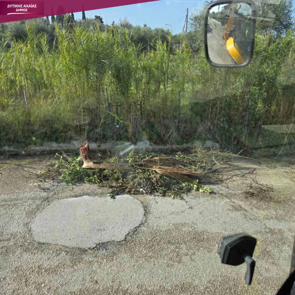 Κάτω Αχαΐα: Παράνομες και ανεξέλεγκτες «χωματερές» πολύ κοντά στην πόλη ΦΩΤΟ