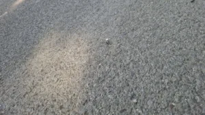 Πάτρα: «Καρφιά» στην Μίνι Περιμετρική - Τα ξέχασαν στο οδόστρωμα ΦΩΤΟ