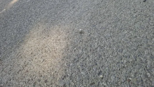 Πάτρα: «Καρφιά» στην Μίνι Περιμετρική - Τα ξέχασαν στο οδόστρωμα ΦΩΤΟ