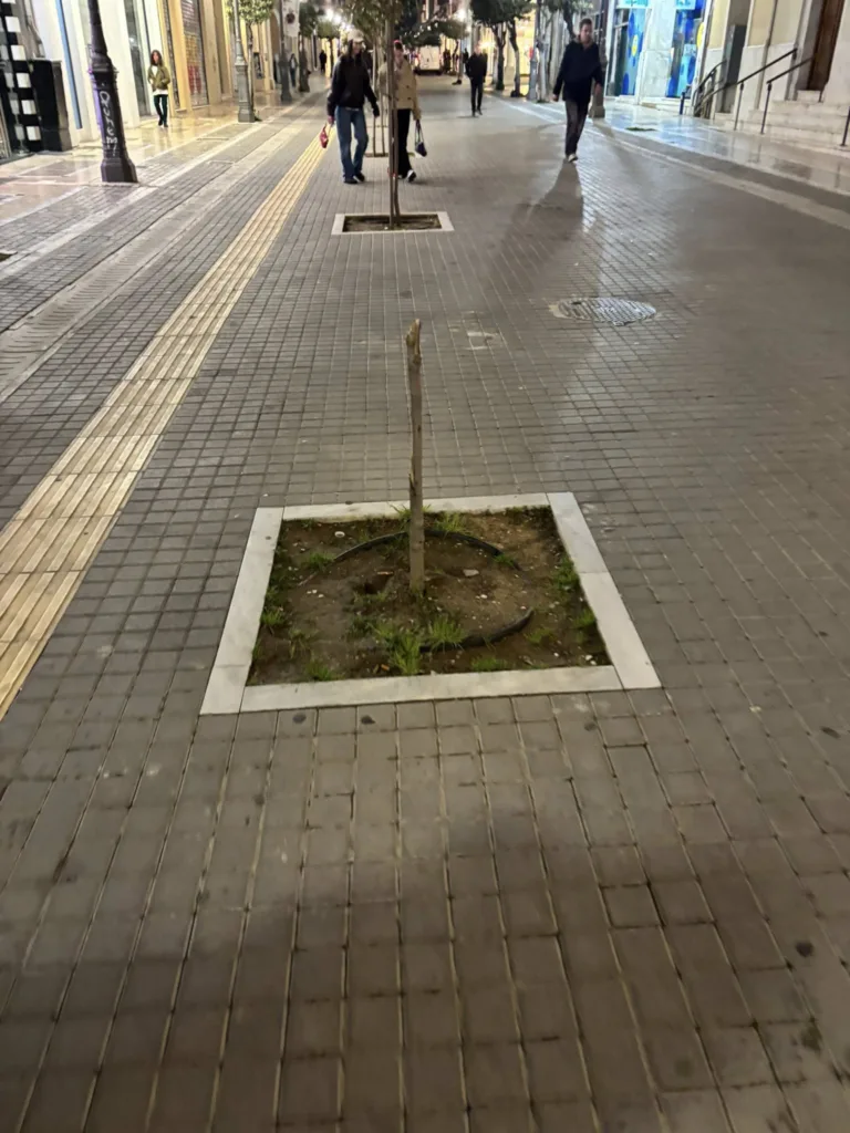 Πάτρα: Κόλλησαν σπασμένα δέντρα με ταινία - Σε πεζόδρομο ΦΩΤΟ 31 Πάτρα: Κόλλησαν σπασμένα δέντρα με ταινία - Σε πεζόδρομο ΦΩΤΟ