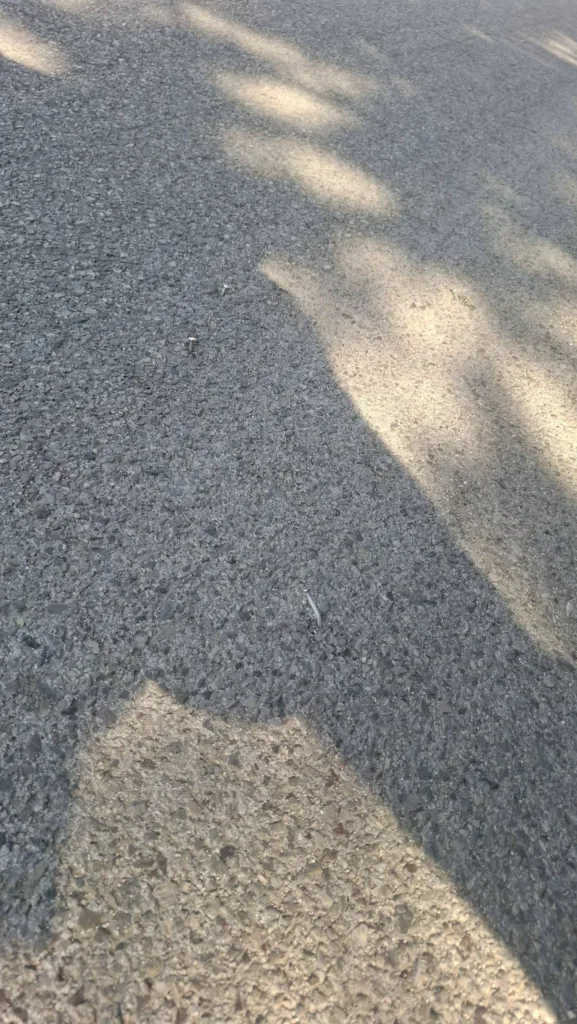 Πάτρα: «Καρφιά» στην Μίνι Περιμετρική - Τα ξέχασαν στο οδόστρωμα ΦΩΤΟ