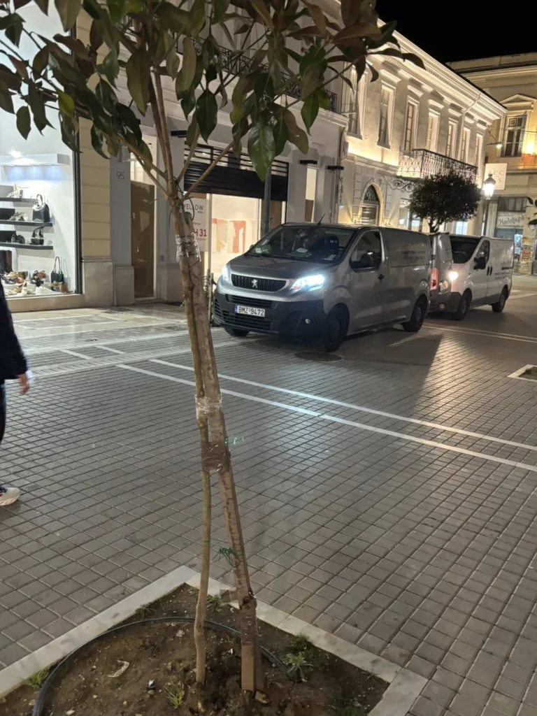 Πάτρα: Κόλλησαν σπασμένα δέντρα με ταινία - Σε πεζόδρομο ΦΩΤΟ 30 Πάτρα: Κόλλησαν σπασμένα δέντρα με ταινία - Σε πεζόδρομο ΦΩΤΟ