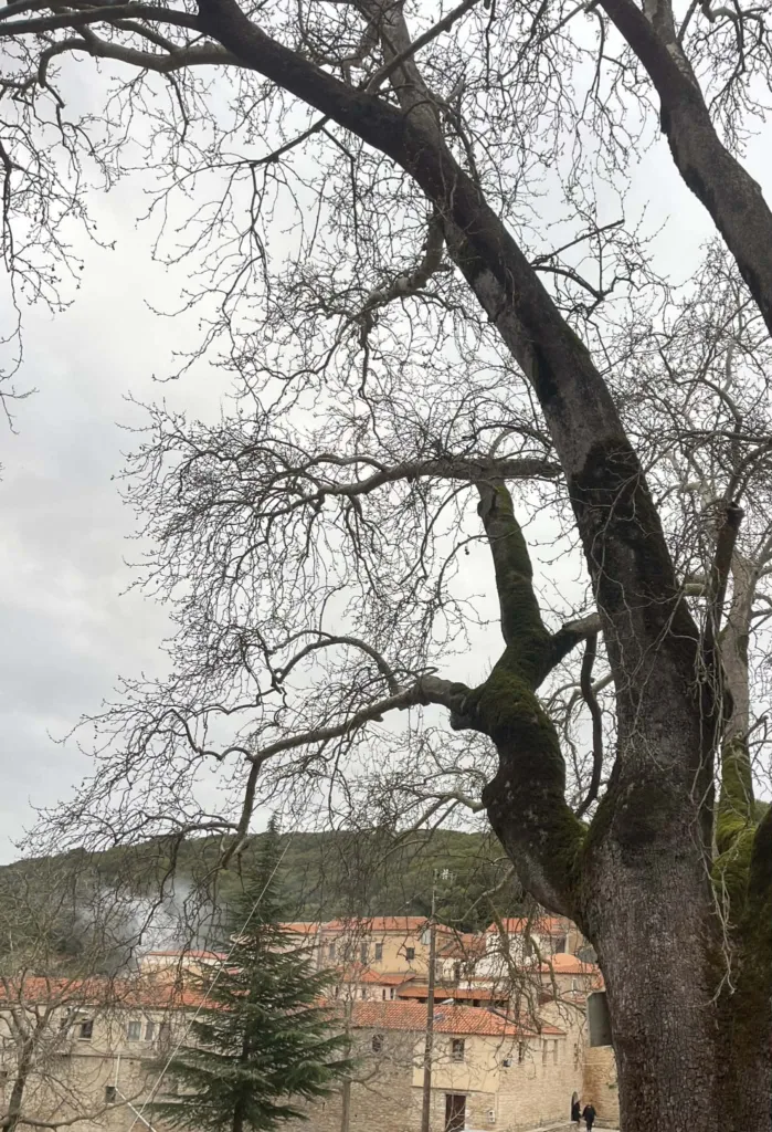 Στην Μονή Ομπλού οι Αρκάδες της Πάτρας για τους Δ΄ Χαιρετισμούς ΦΩΤΟ