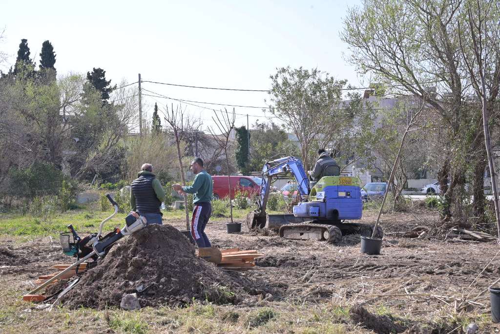 Πάτρα: Καθαρισμός στην ανάπλαση του Πλατανόδασους ΦΩΤΟ