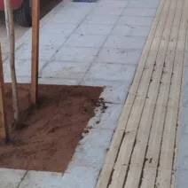 Πάτρα: Δενδροφύτευση σε νέα πεζοδρόμια, από τον Δήμο ΦΩΤΟ