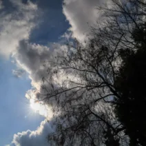 Καιρός: Με δυο «πρόσωπα» τη Μεγάλη εβδομάδα - Πότε αναμένεται πτώση θερμοκρασίας και βροχές 17 Καιρός: Με δυο «πρόσωπα» τη Μεγάλη εβδομάδα - Πότε αναμένεται πτώση θερμοκρασίας και βροχές