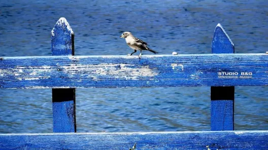 Αχαΐα: Με ήπιες ανοιξιάτικες συνθήκες και μικρές διακυμάνσεις ο καιρός