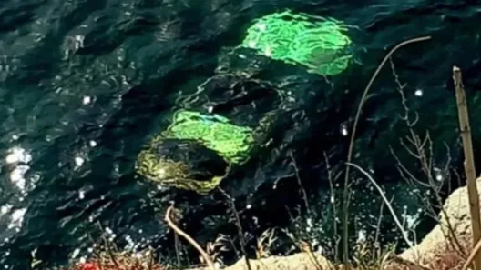 Λήμνος: Αυτοκίνητο στη θάλασσα, νεκρός ανασύρθηκε ο οδηγός