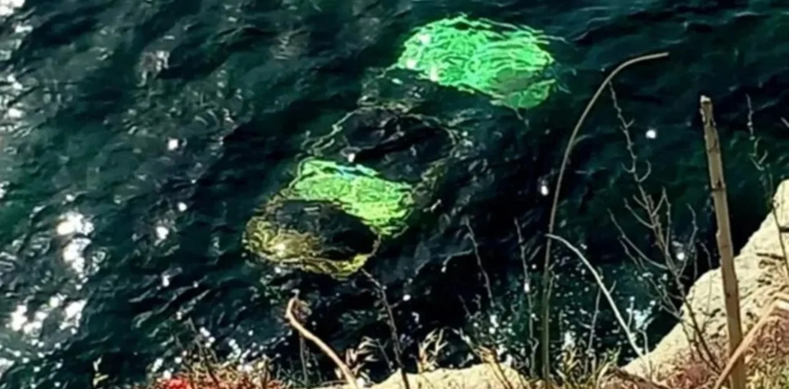 Λήμνος: Αυτοκίνητο στη θάλασσα, νεκρός ανασύρθηκε ο οδηγός