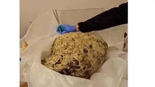 Σύλληψη επιχειρηματία για αρχαιοκαπηλία, διατηρούσε δεσμό με γνωστή ηθοποιό ΒΙΝΤΕΟ