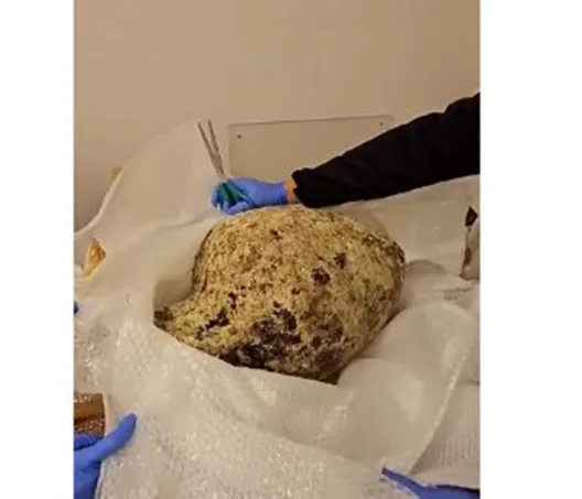 Σύλληψη επιχειρηματία για αρχαιοκαπηλία, διατηρούσε δεσμό με γνωστή ηθοποιό ΒΙΝΤΕΟ