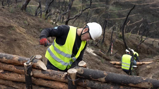 Αχαΐα: Η φωτιά, οι στάχτες και η αποκατάσταση μέσα από ανθρώπινες μαρτυρίες ΒΙΝΤΕΟ - ΦΩΤΟ