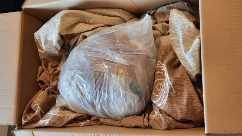 ΑΠΟΚΛΕΙΣΤΙΚΟ - Πάτρα: Μεγάλη ποσότητα κάνναβης σε δέμα, εκατοντάδες χάπια έκσταση, συλλήψεις από τη Δίωξη Ναρκωτικών